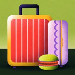 Pack It Wisely icon