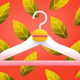 FashionLook App icon